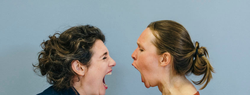 Anne Gehring_Het laatste gesprek