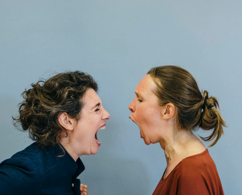 Anne Gehring_Het laatste gesprek Anne Gehring_Het laatste gesprek